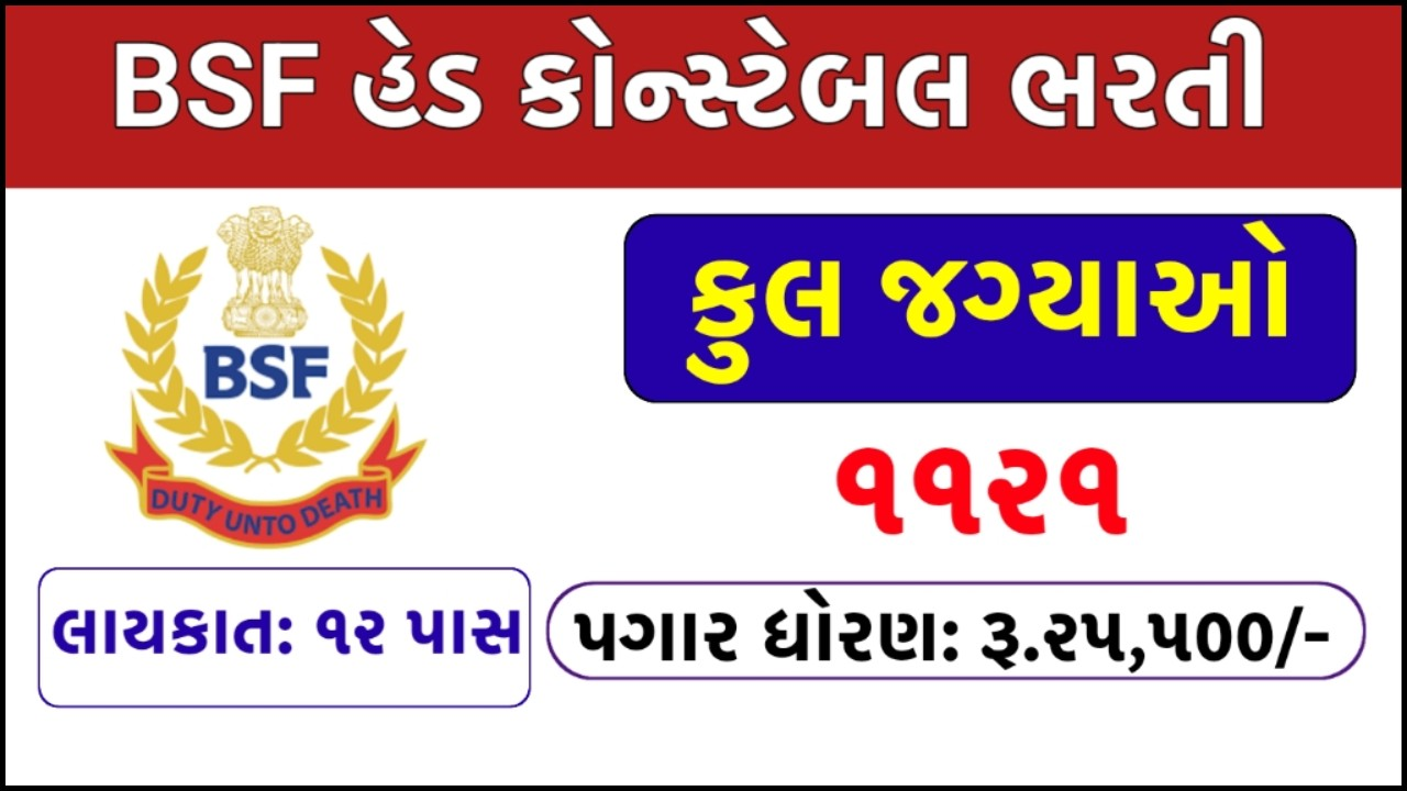 bsf hed constabal